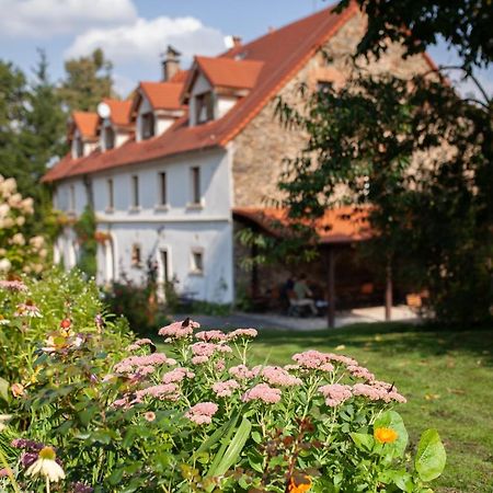 Villa Greta Свежава Экстерьер фото
