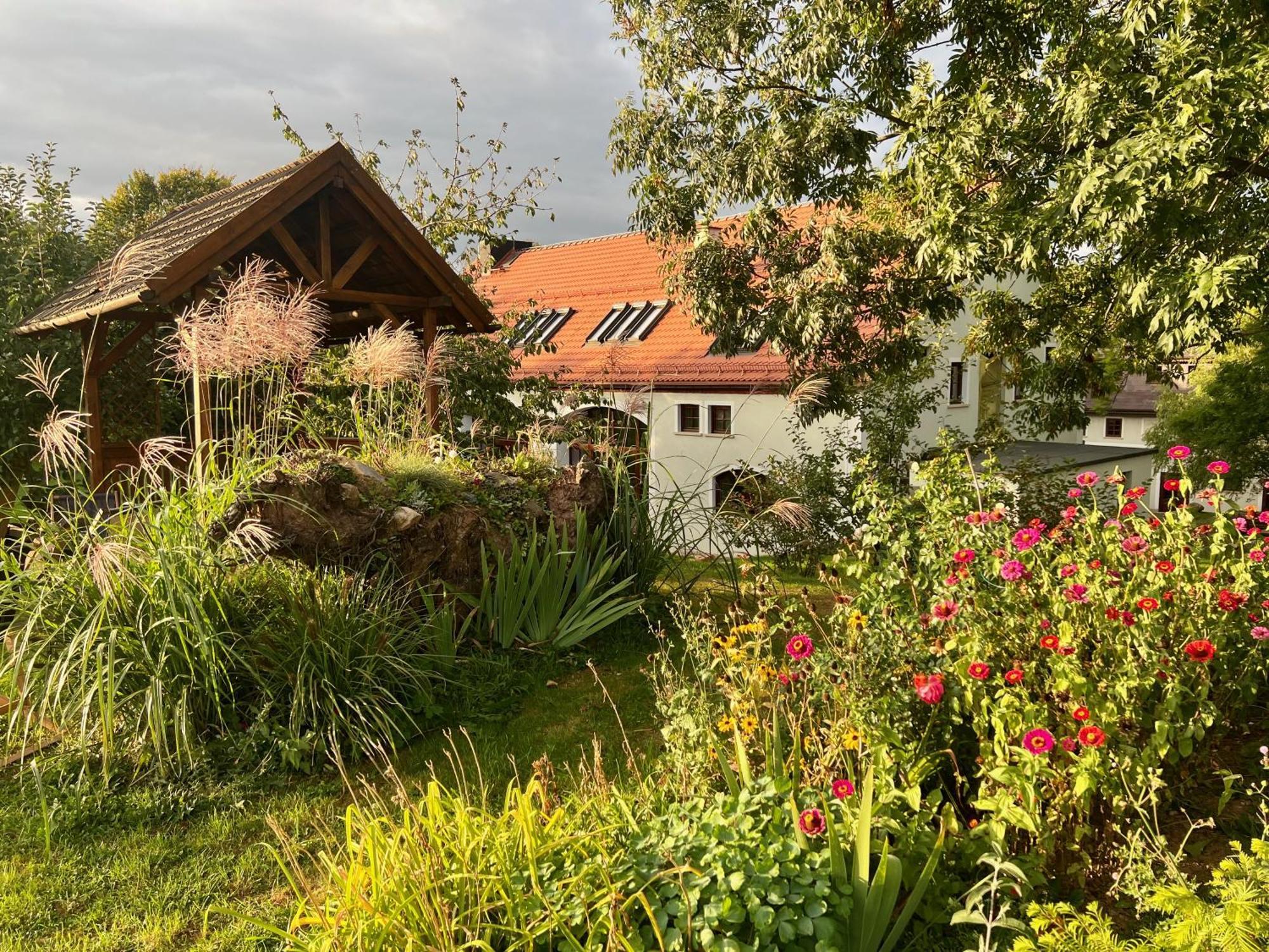 Villa Greta Свежава Экстерьер фото